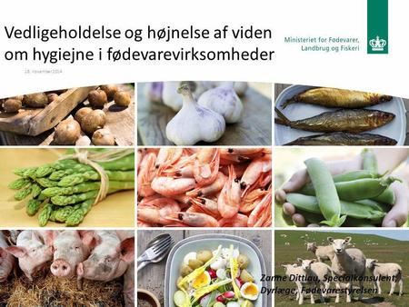 18. november 2014 Vedligeholdelse og højnelse af viden om hygiejne i fødevarevirksomheder Zanne Dittlau, Specialkonsulent, Dyrlæge, Fødevarestyrelsen.