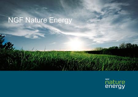Hvem er NGF Nature Energy Månsson?
