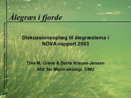 National Environmental Research Institute Department of Marine Ecology Ålegræs i fjorde Diskussionsoplæg til ålegræstema i NOVA-rapport 2003 Tina M. Greve.