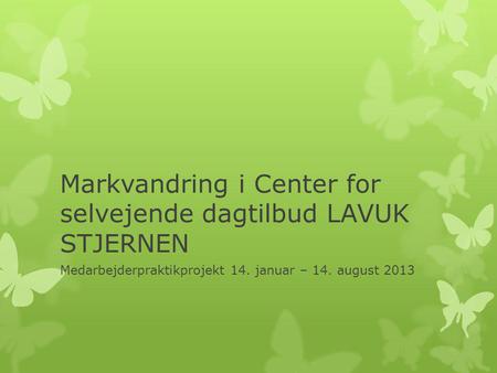 Markvandring i Center for selvejende dagtilbud LAVUK STJERNEN Medarbejderpraktikprojekt 14. januar – 14. august 2013.