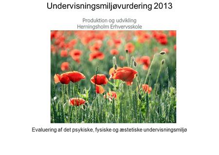 Undervisningsmiljøvurdering 2013 Produktion og udvikling Herningsholm Erhvervsskole Evaluering af det psykiske, fysiske og æstetiske undervisningsmiljø.