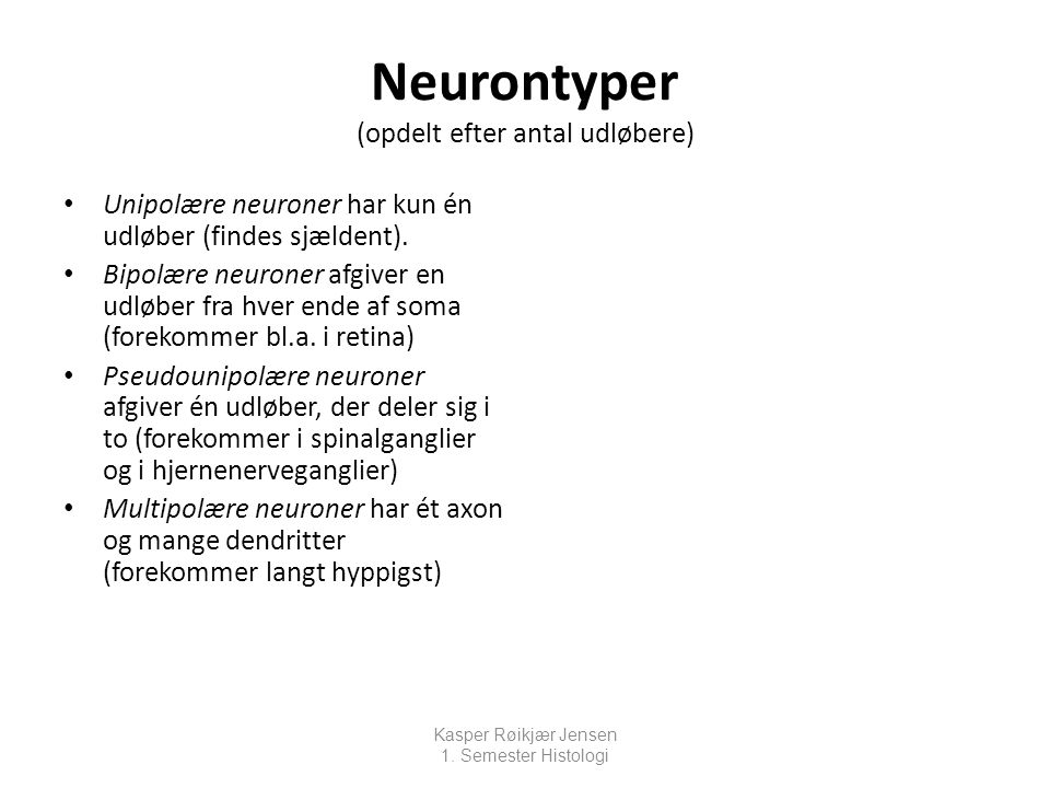 Neurontyper (opdelt efter antal udløbere)