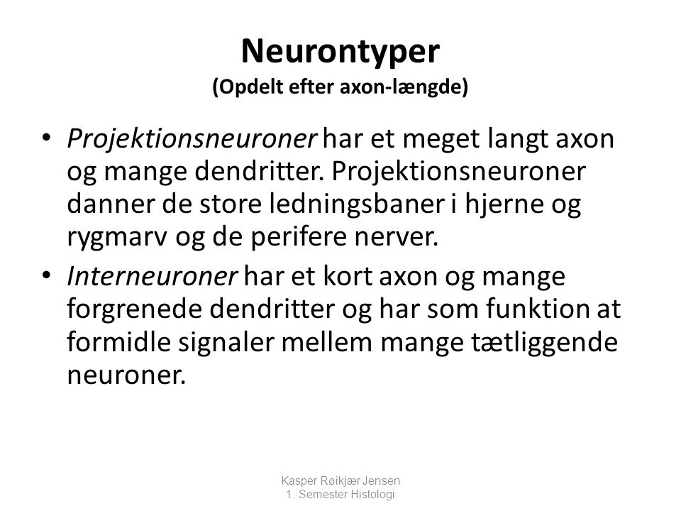 Neurontyper (Opdelt efter axon-længde)