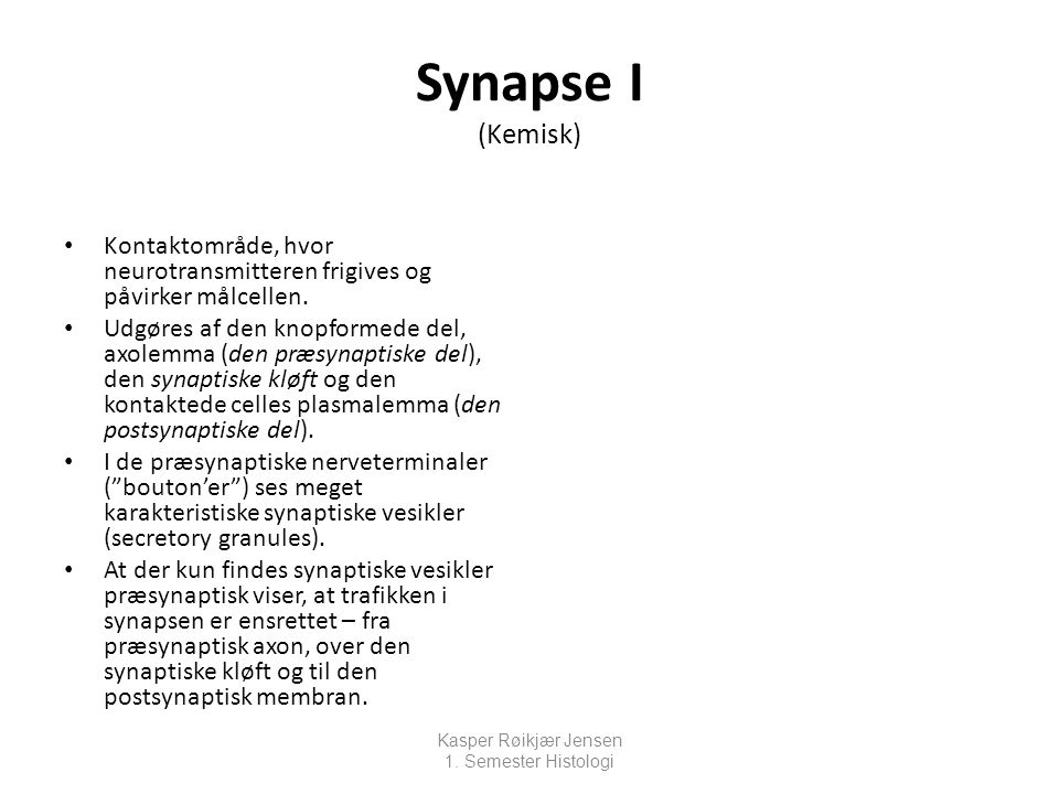 Synapse I (Kemisk) Kontaktområde, hvor neurotransmitteren frigives og påvirker målcellen.