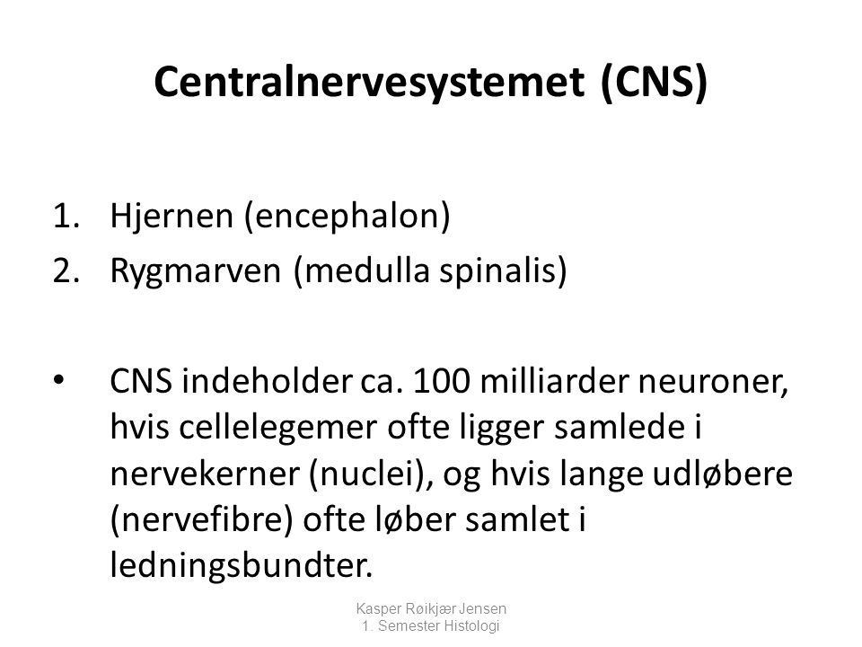 Centralnervesystemet (CNS)