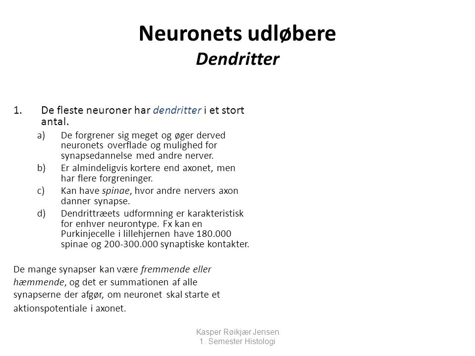 Neuronets udløbere Dendritter