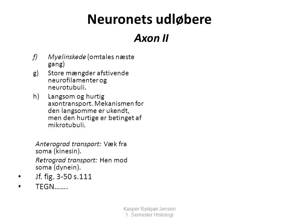 Neuronets udløbere Axon II