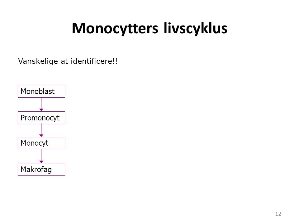 Monocytters livscyklus