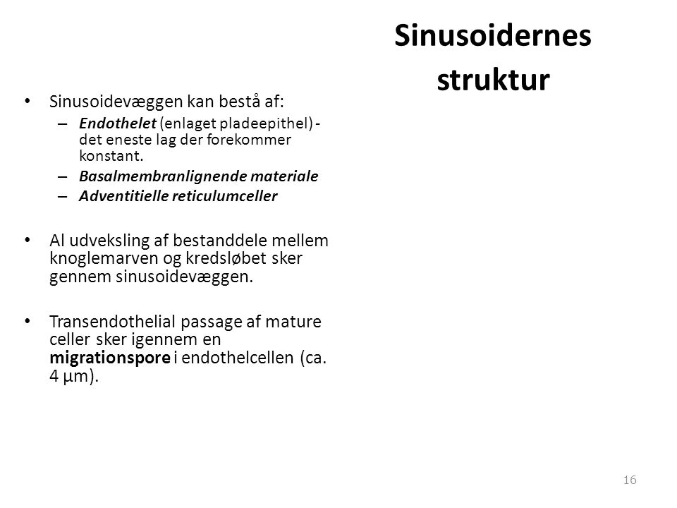 Sinusoidernes struktur