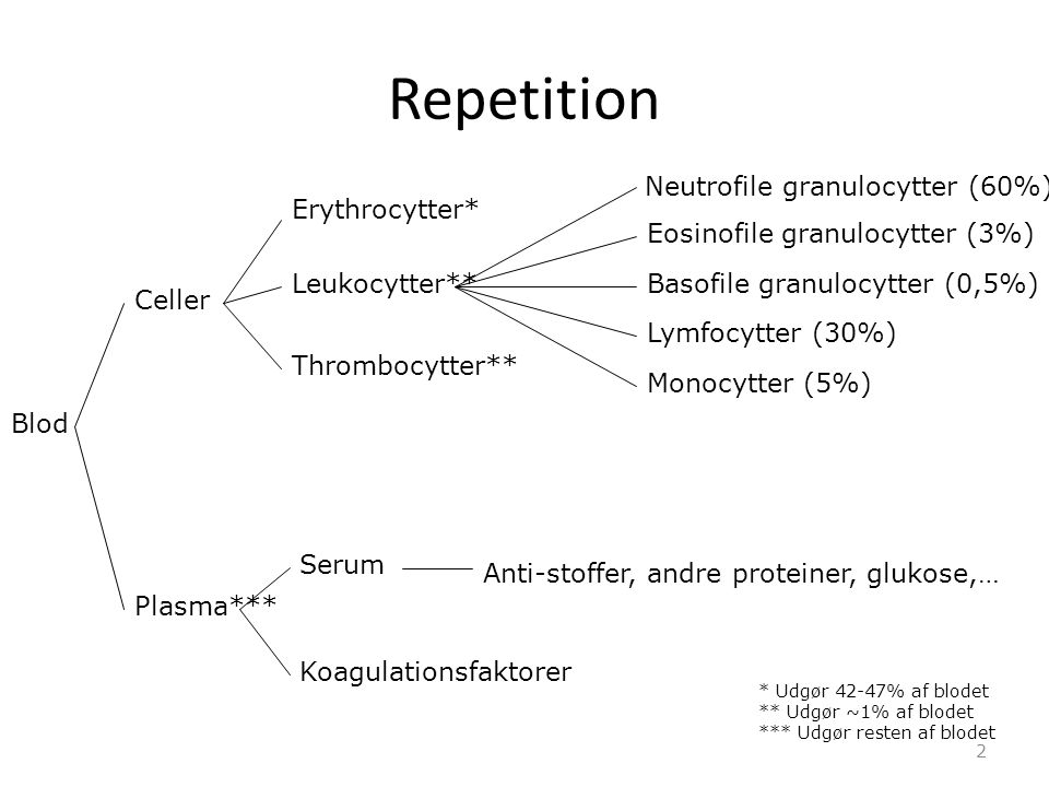 Repetition Neutrofile granulocytter (60%) Erythrocytter*