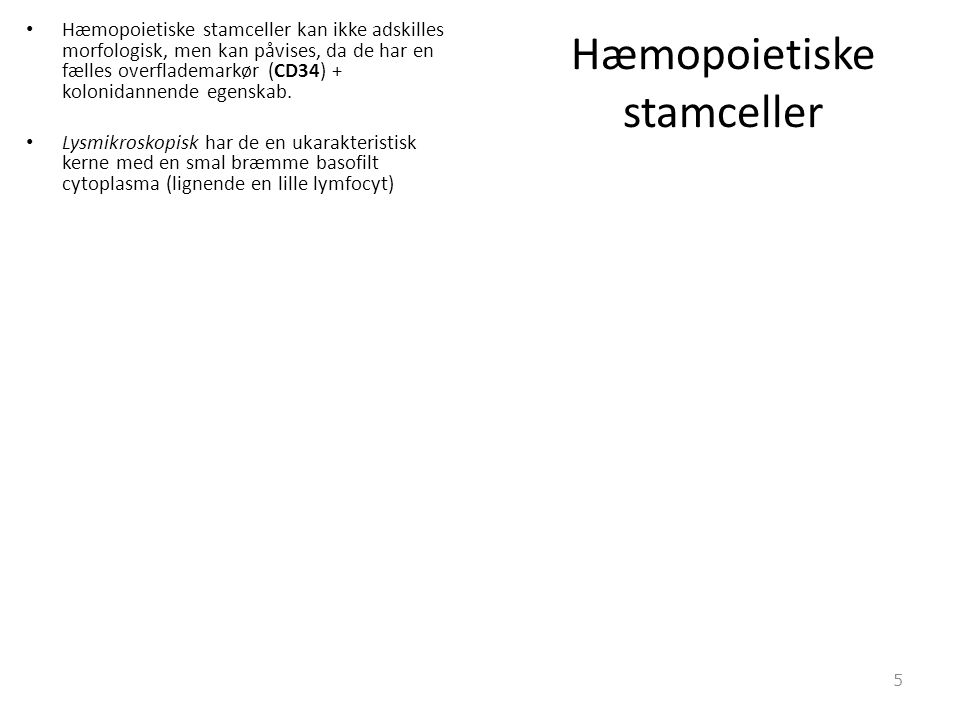 Hæmopoietiske stamceller