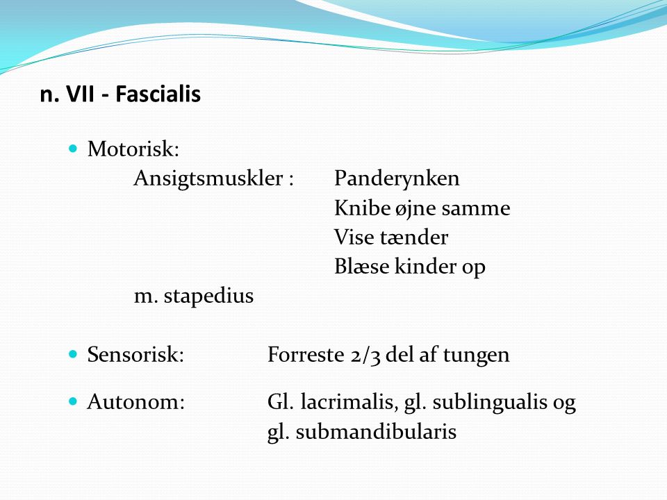 n. VII - Fascialis Motorisk: Ansigtsmuskler : Panderynken