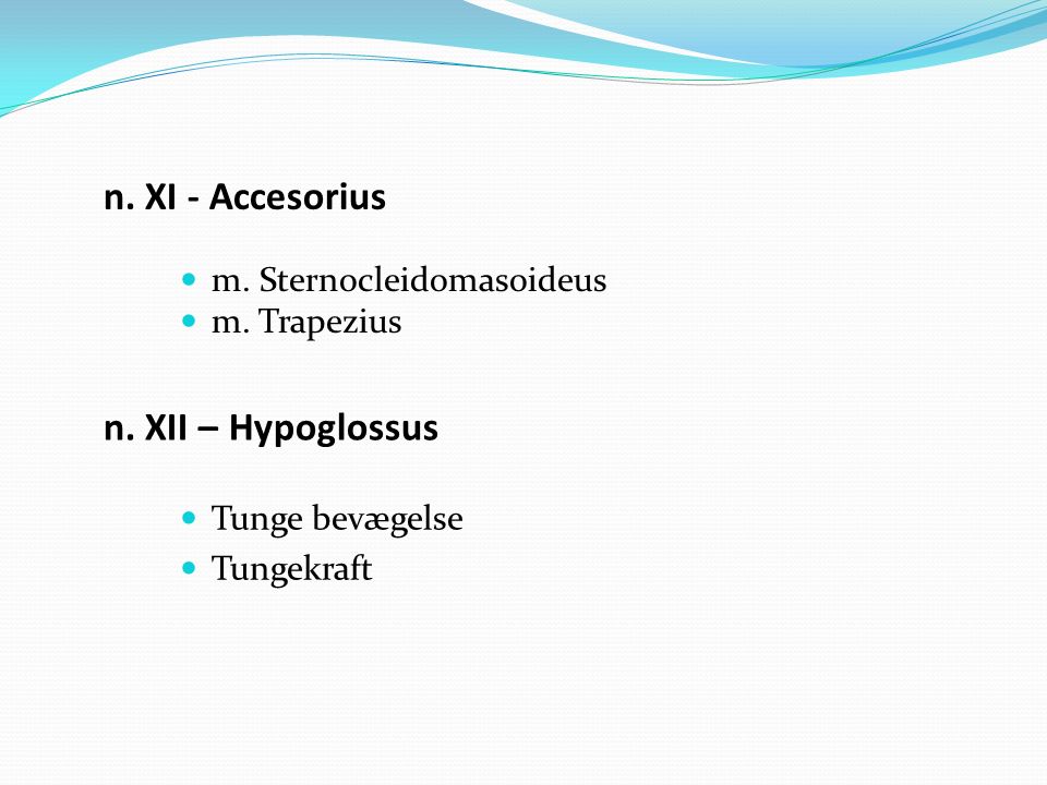 n. XI - Accesorius n. XII – Hypoglossus m. Sternocleidomasoideus
