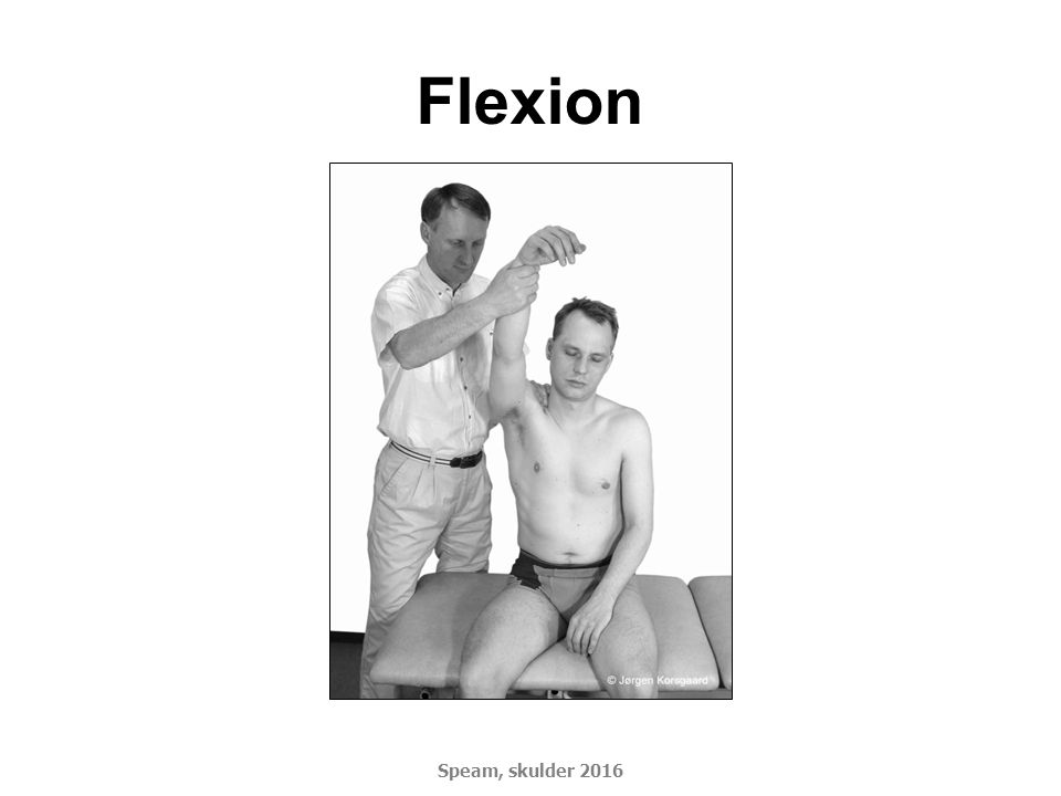 Flexion Speam, skulder 2016