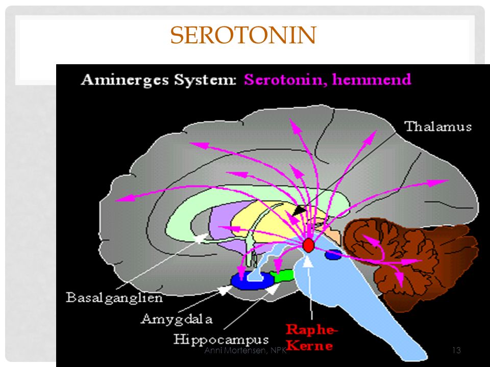 Serotonin Anni Mortensen, NPK