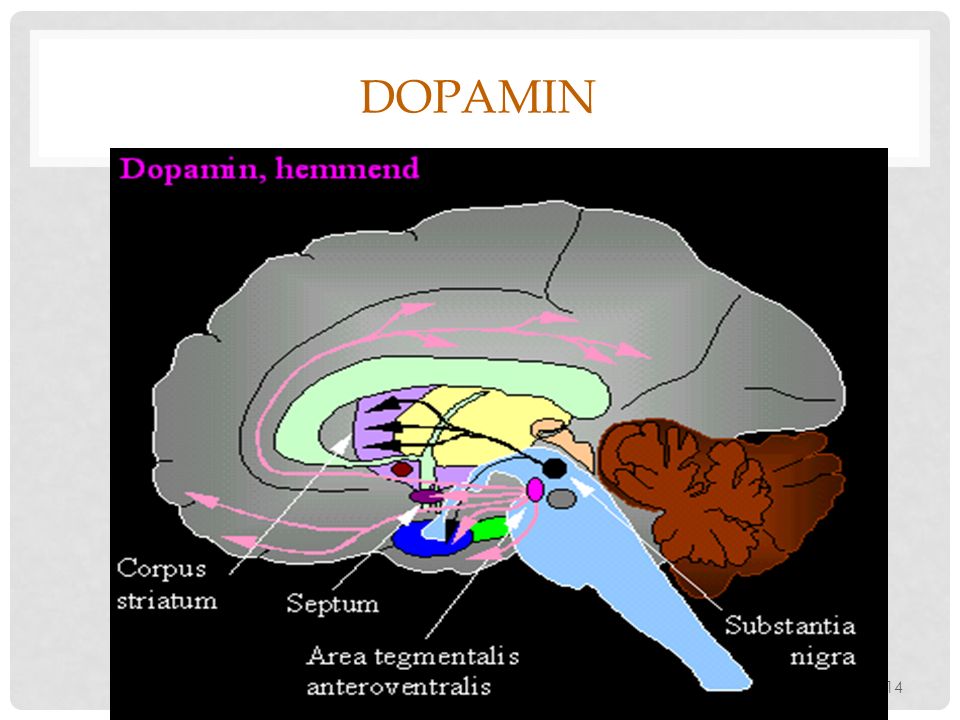 Dopamin Anni Mortensen, NPK
