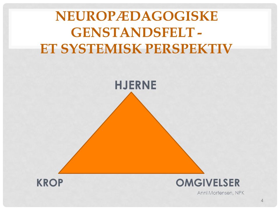 Neuropædagogiske genstandsfelt - et systemisk perspektiv