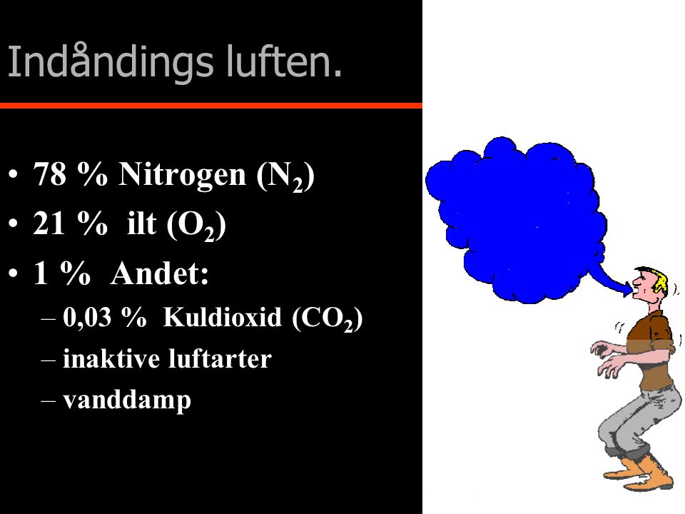 Indåndings luften. 78 % Nitrogen (N2) 21 % ilt (O2) 1 % Andet: