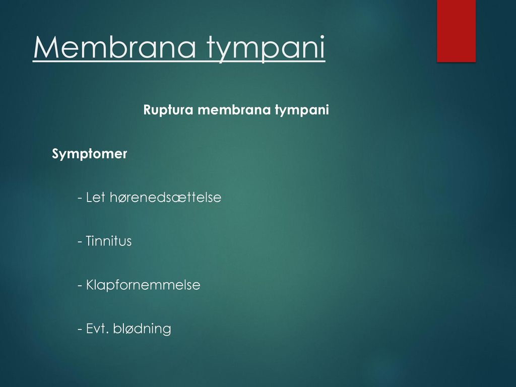 Membrana tympani Ruptura membrana tympani Symptomer - Let hørenedsættelse - Tinnitus - Klapfornemmelse - Evt.