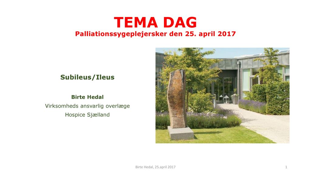 TEMA DAG Palliationssygeplejersker den 25. april 2017