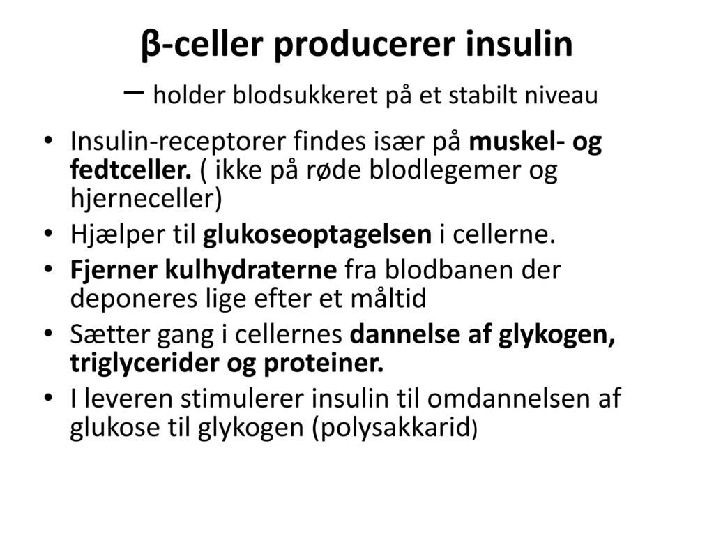 β-celler producerer insulin – holder blodsukkeret på et stabilt niveau
