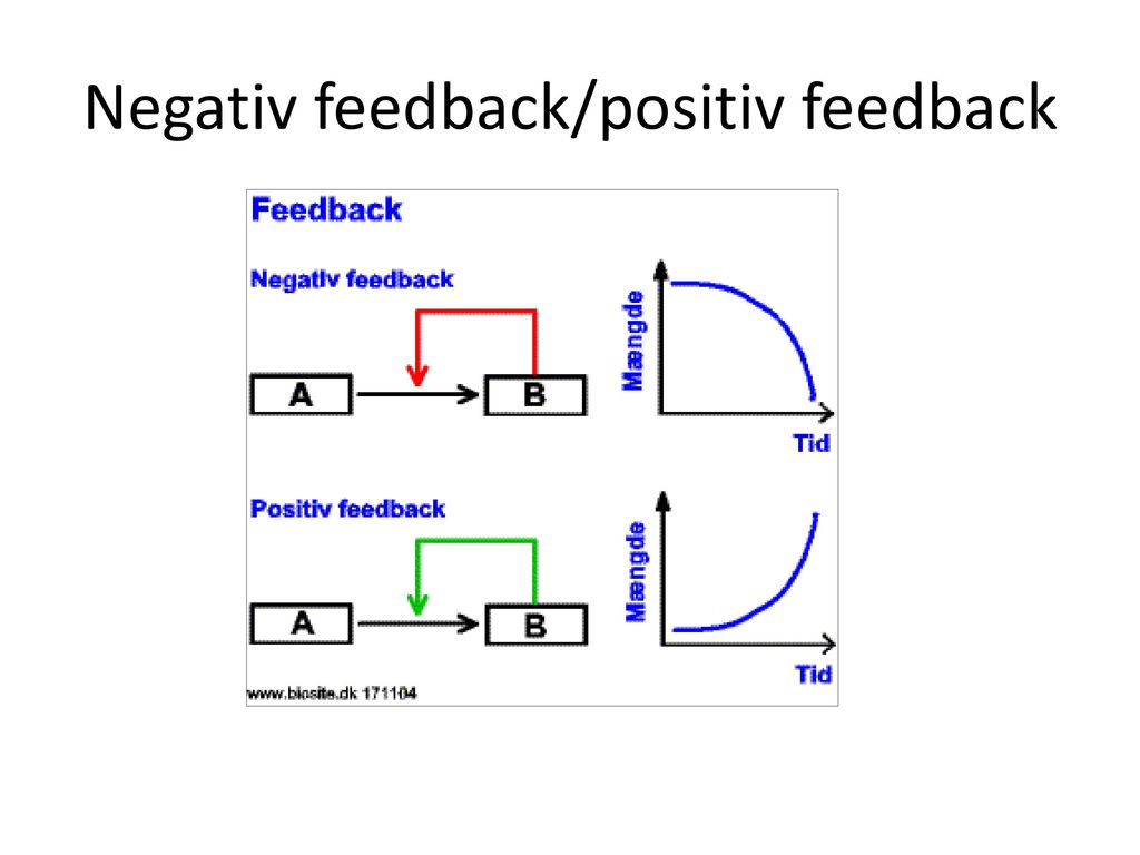 Negativ feedback/positiv feedback