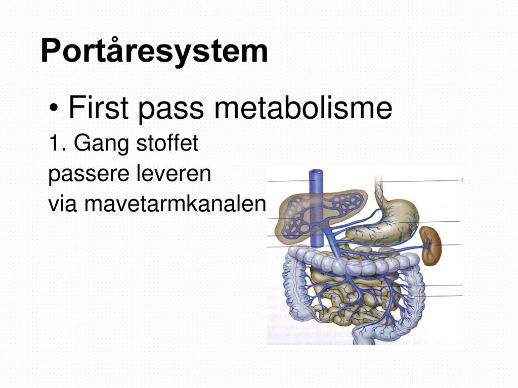 Portåresystem First pass metabolisme 1. Gang stoffet passere leveren