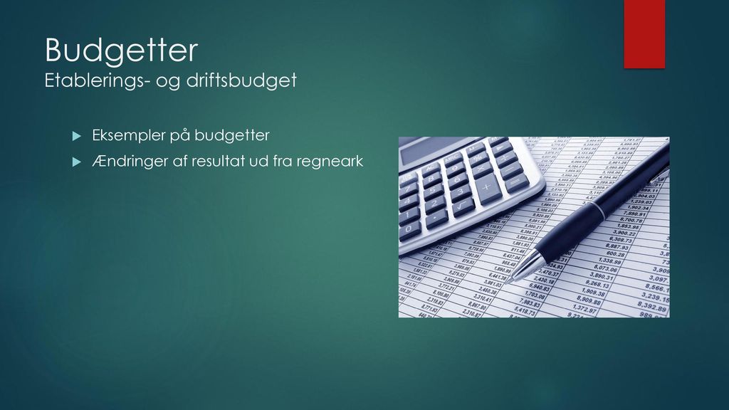 Budgetter Etablerings- og driftsbudget