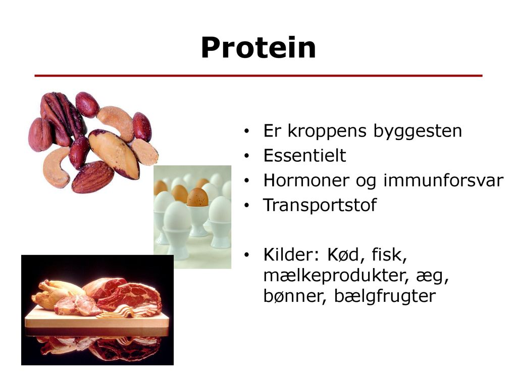 Protein Er kroppens byggesten Essentielt Hormoner og immunforsvar
