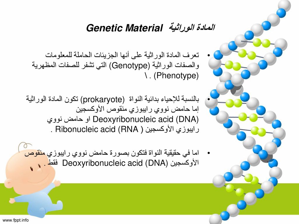 المادة الوراثية Genetic Material