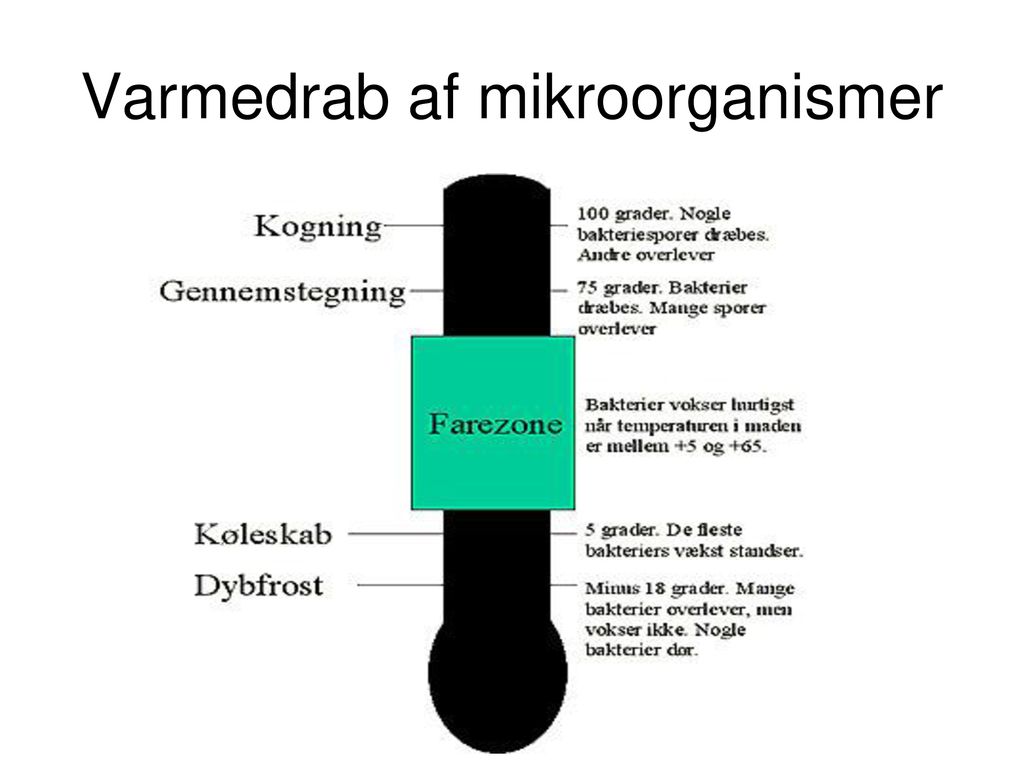 Varmedrab af mikroorganismer