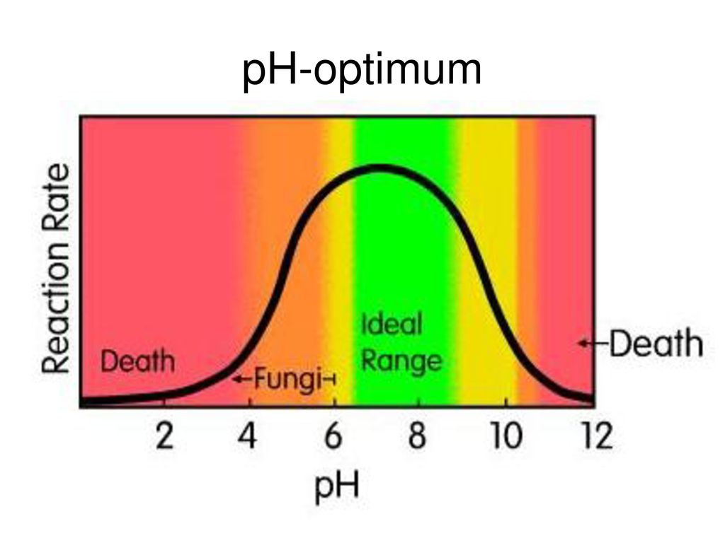 pH-optimum