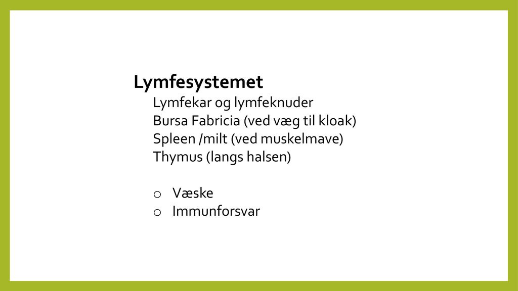 Lymfesystemet Lymfekar og lymfeknuder