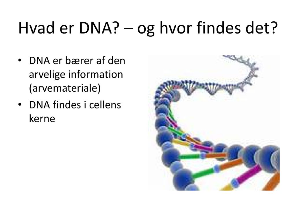 Hvad er DNA – og hvor findes det