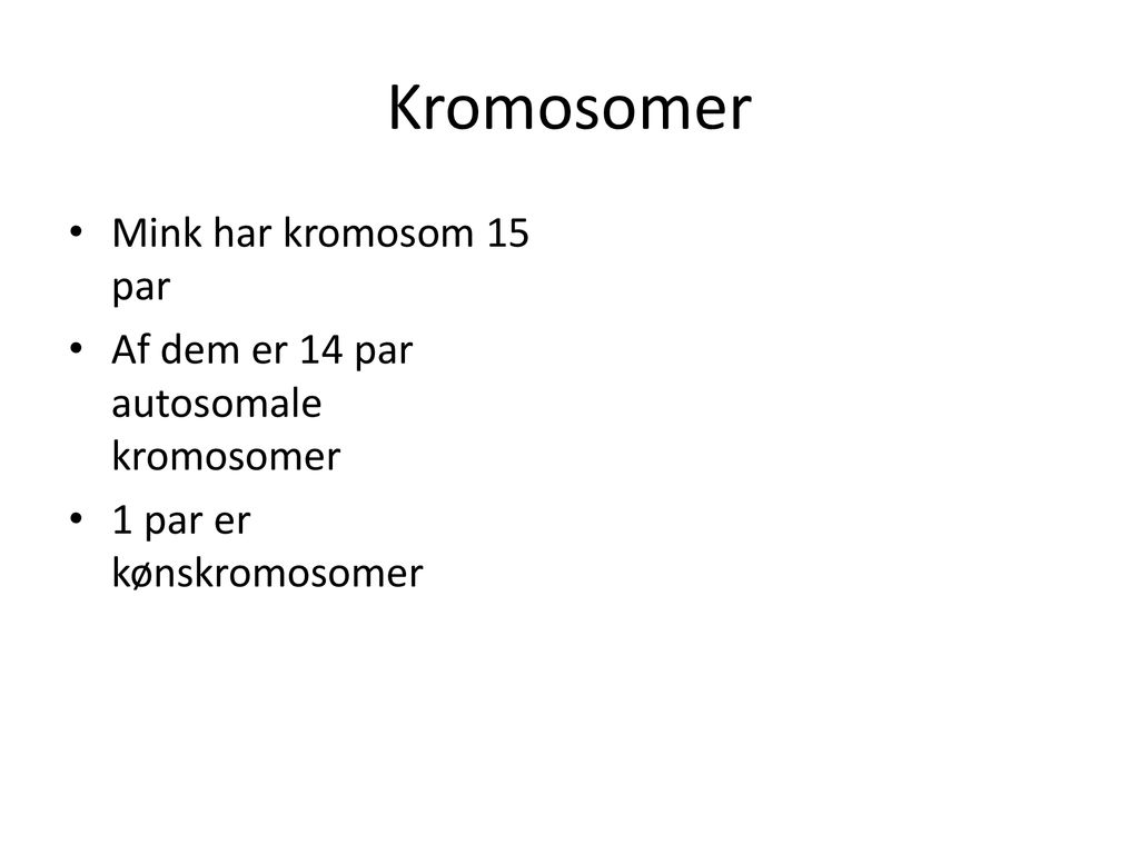 Kromosomer Mink har kromosom 15 par