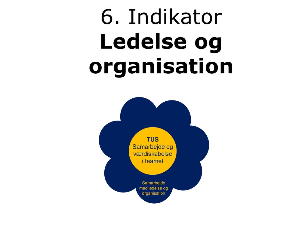 6. Indikator Ledelse og organisation
