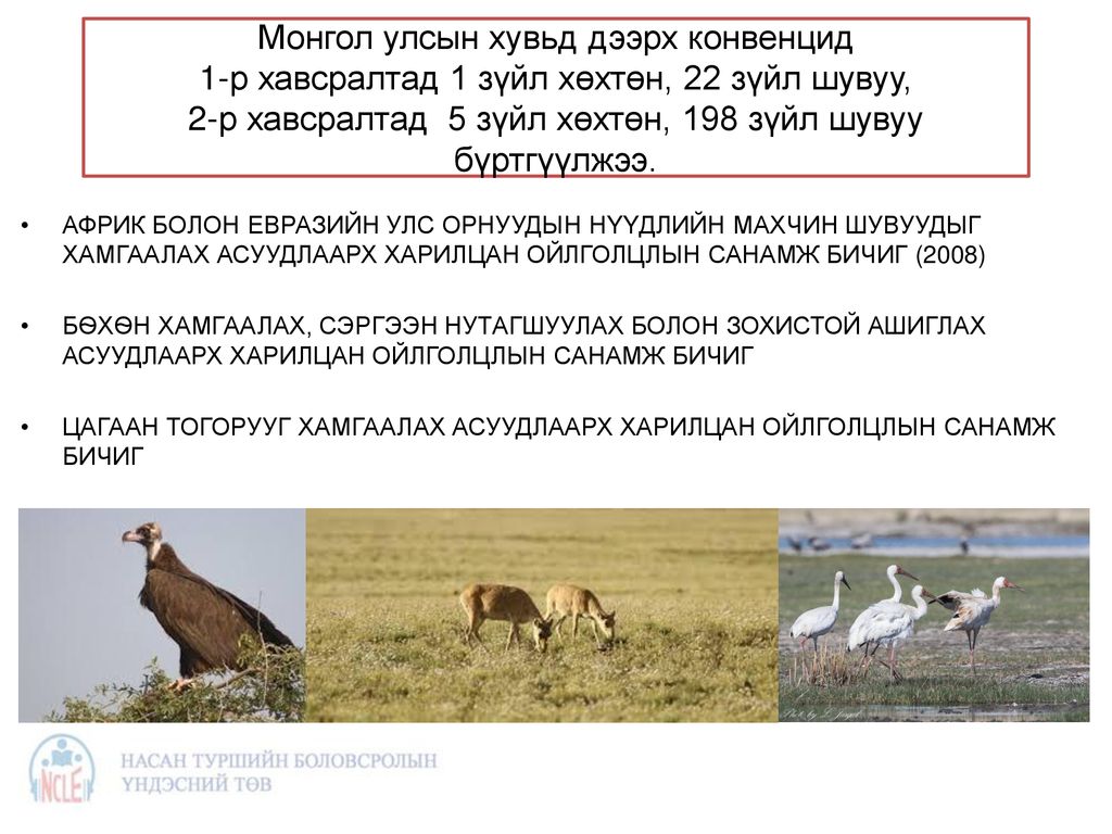 Монгол улсын хувьд дээрх конвенцид 1-р хавсралтад 1 зүйл хөхтөн, 22 зүйл шувуу, 2-р хавсралтад 5 зүйл хөхтөн, 198 зүйл шувуу бүртгүүлжээ.