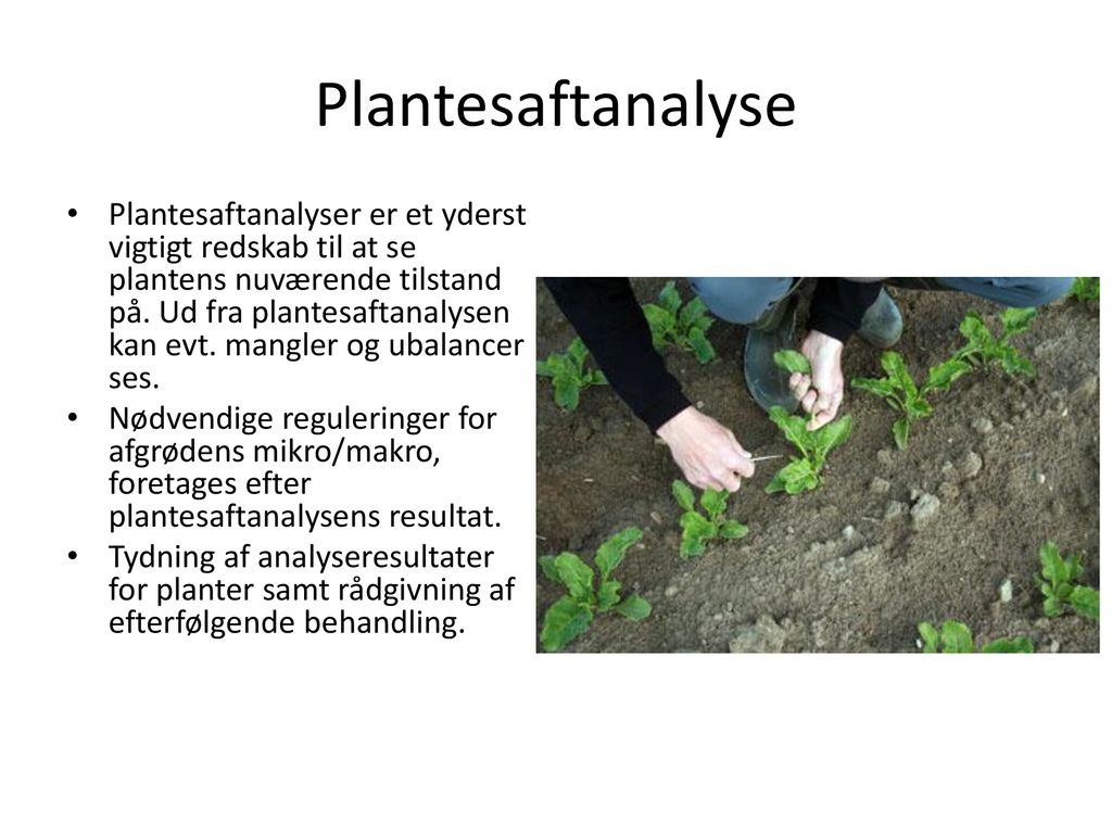 Plantesaftanalyse