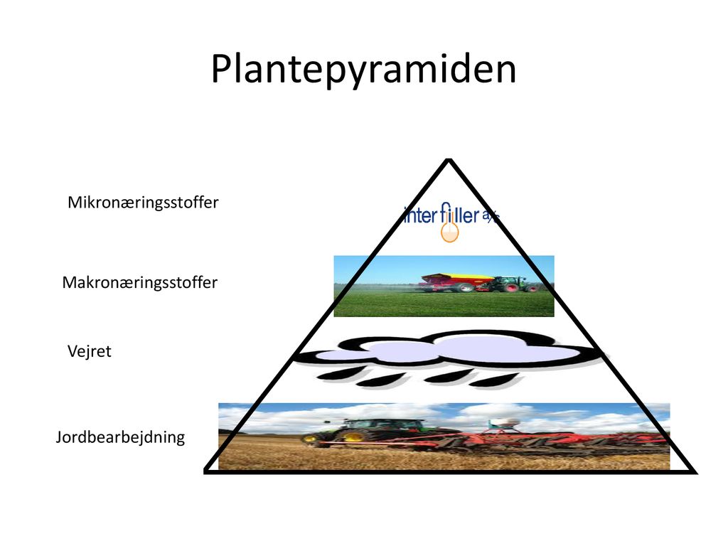 Plantepyramiden Mikronæringsstoffer Makronæringsstoffer Vejret