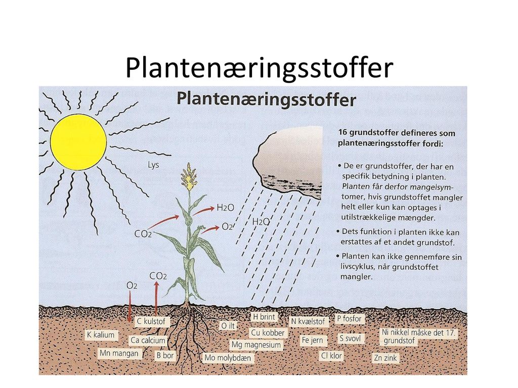 Plantenæringsstoffer