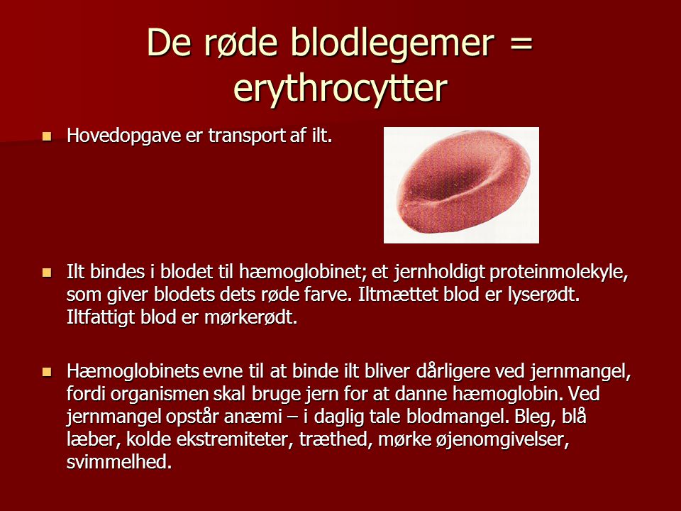De røde blodlegemer = erythrocytter