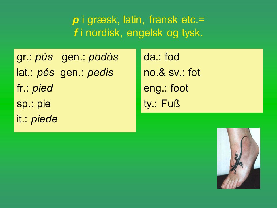 p i græsk, latin, fransk etc.= f i nordisk, engelsk og tysk.