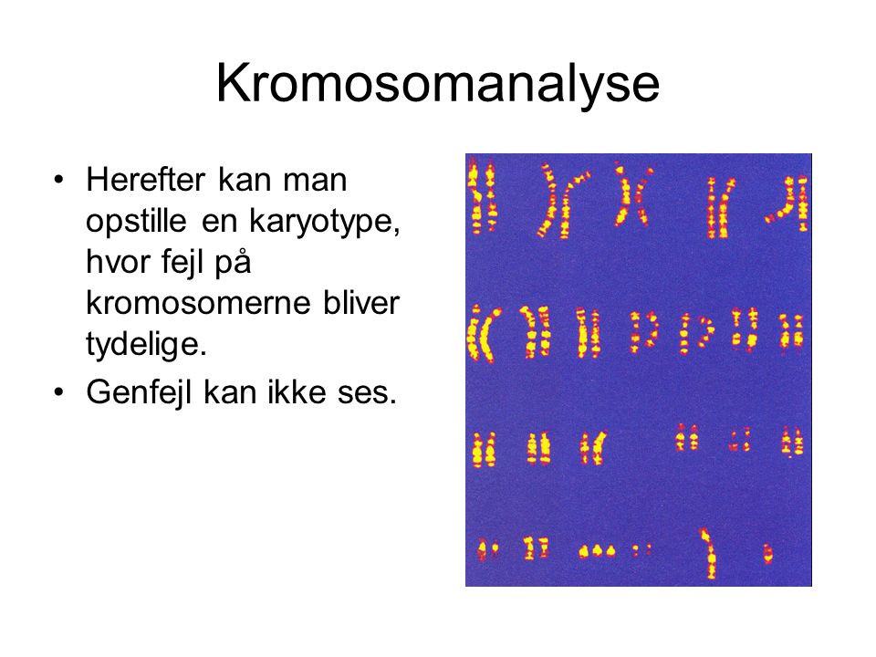 Kromosomanalyse Herefter kan man opstille en karyotype, hvor fejl på kromosomerne bliver tydelige.