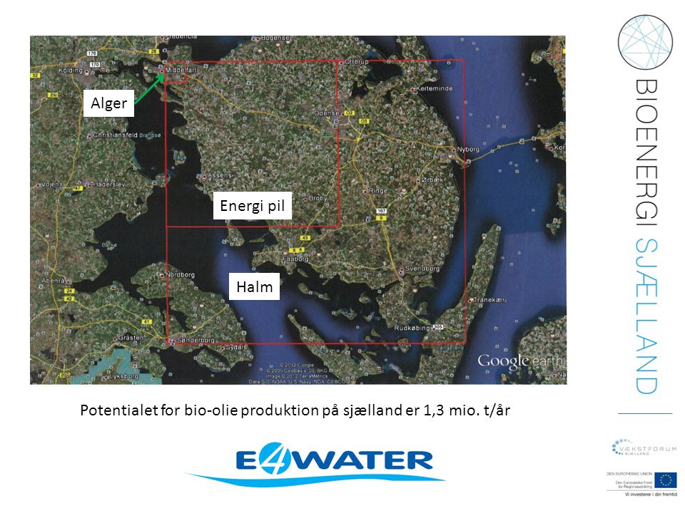 Alger Energi pil Halm Potentialet for bio-olie produktion på sjælland er 1,3 mio. t/år