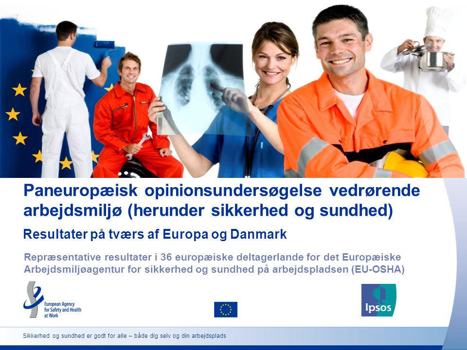 Paneuropæisk opinionsundersøgelse vedrørende arbejdsmiljø (herunder sikkerhed og sundhed)