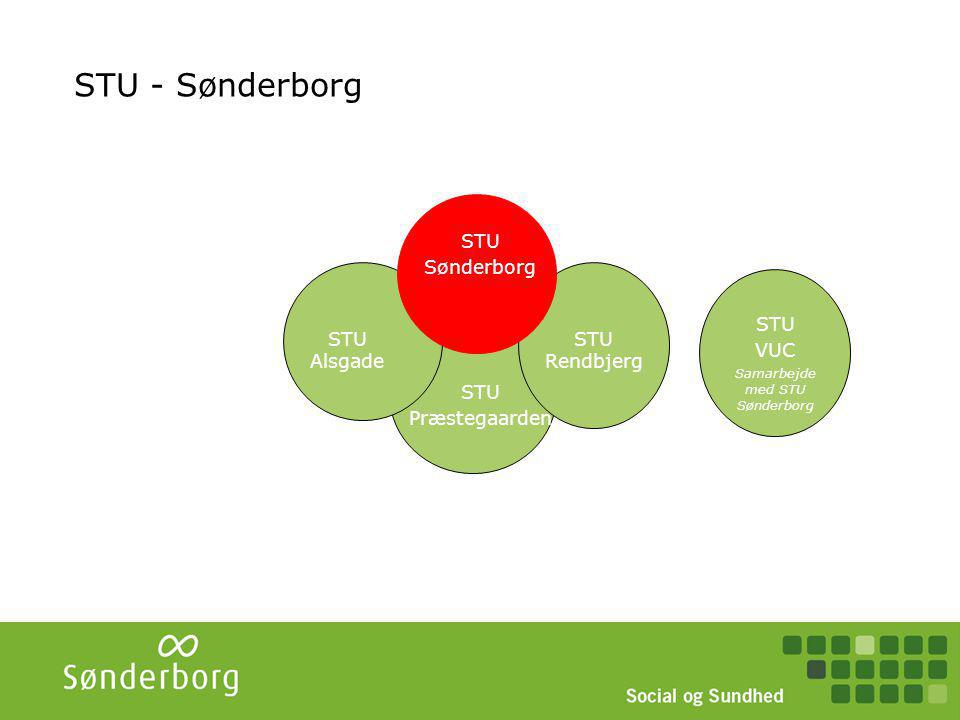STU Sønderborg Styregruppe (ledere + VUC) Overordnet planlægning. Eks. fælles beskrivelse, skabeloner.