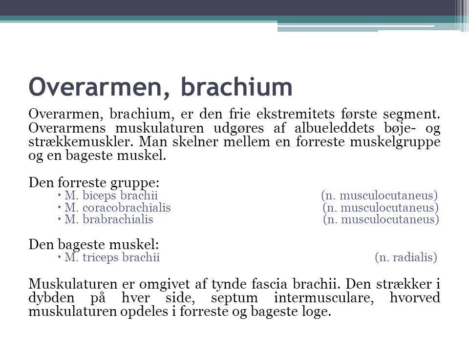 Overarmen, brachium
