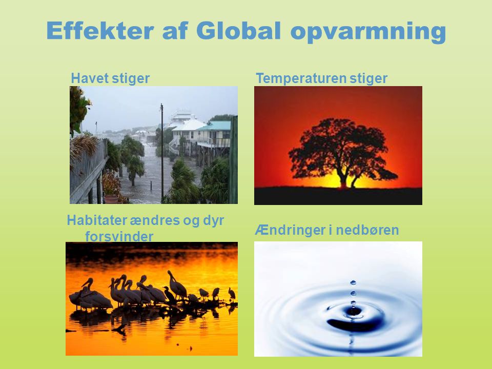 Effekter af Global opvarmning