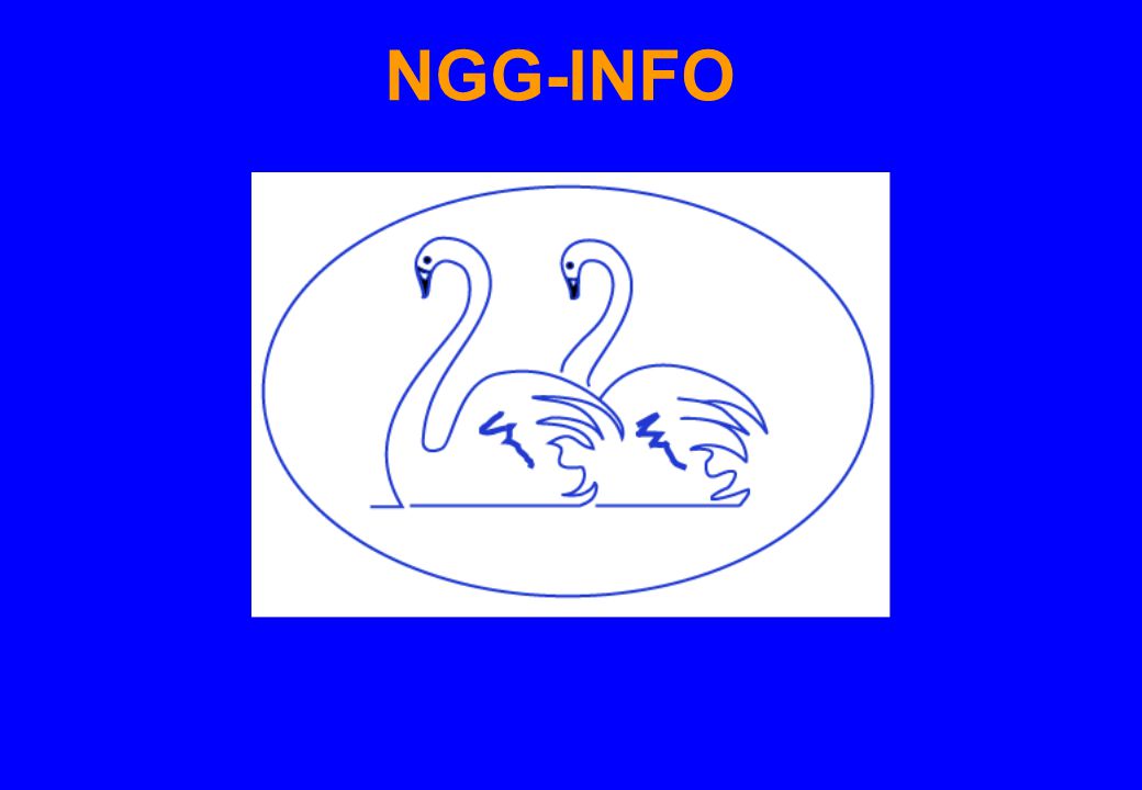 NGG-INFO 19