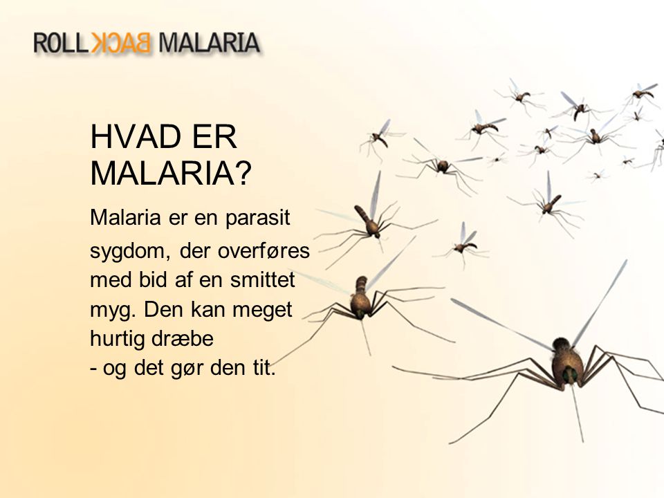 HVAD ER MALARIA Malaria er en parasit sygdom, der overføres